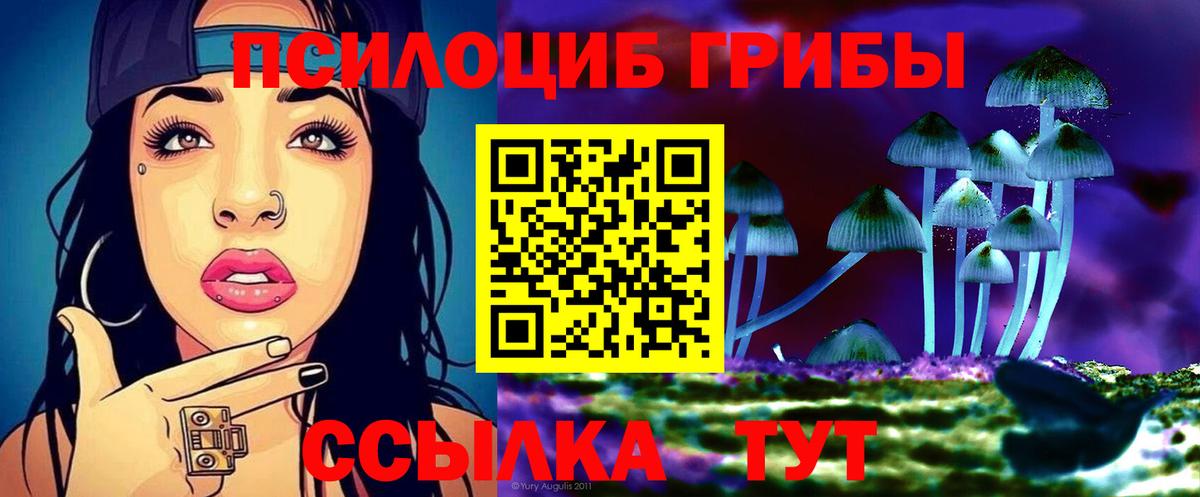 Псилоцибиновые грибы мицелий Белогорск