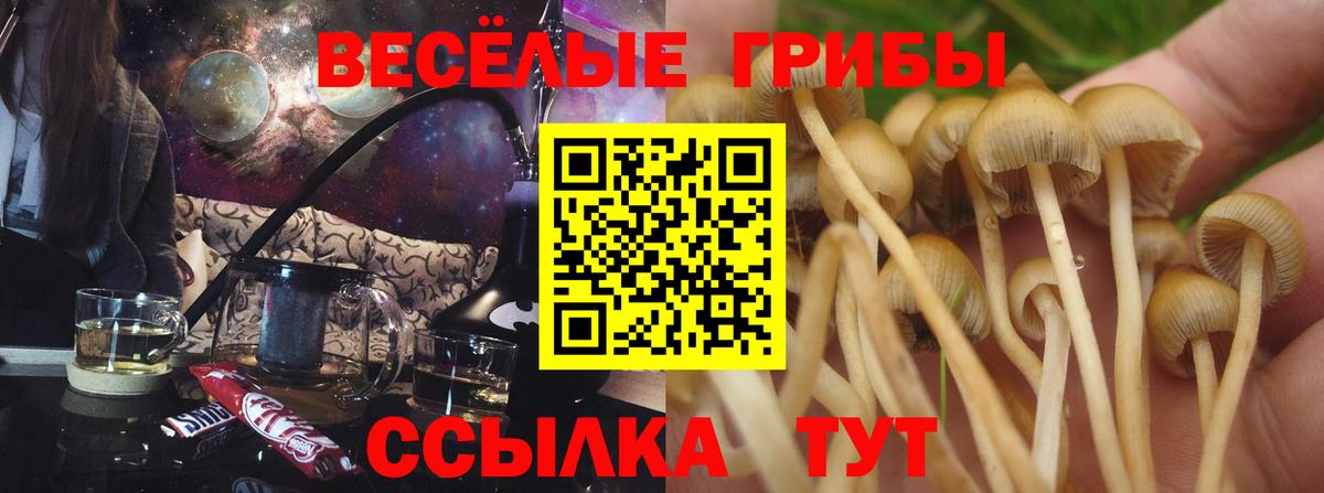 Белогорск  Псилоцибиновые грибы MAGIC MUSHROOMS  Вход с VPN 